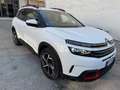 Citroen C5 Aircross C5 Aircross 1.5 bluehdi Shine s Bianco - thumbnail 1