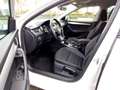 Skoda Octavia Combi 2.0 TDI Tour DSG LED Navi Klimaautom Weiß - thumbnail 7