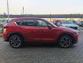Mazda CX-5 CX-5 2.0 mhev Centre-Line 2wd 165cv Rot - thumbnail 21