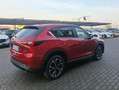 Mazda CX-5 CX-5 2.0 mhev Centre-Line 2wd 165cv Rot - thumbnail 13