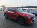 Mazda CX-5 CX-5 2.0 mhev Centre-Line 2wd 165cv Rot - thumbnail 14