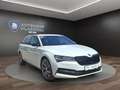 Skoda Superb C 2.0 TSI DSG Sportline 4x4 AHK+PANO+NAVI Klima Weiß - thumbnail 3
