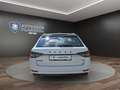 Skoda Superb C 2.0 TSI DSG Sportline 4x4 AHK+PANO+NAVI Klima Weiß - thumbnail 6