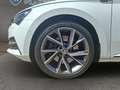 Skoda Superb C 2.0 TSI DSG Sportline 4x4 AHK+PANO+NAVI Klima Weiß - thumbnail 10