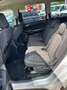 Ford Galaxy Galaxy 2,0 TDCi Business Start/Stop Business Grau - thumbnail 14