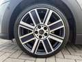 MINI Cooper Cabrio Mini 1.5 Yours PREZZO REALE Grau - thumbnail 12