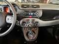 Fiat Panda PANDA  1.0 FIREFLY S&S HYBRID CITY LIFE Gris - thumbnail 10