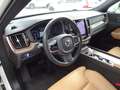 Volvo XC60 B5 Inscription AWD AHK ACC Standhzg. BLIS Weiß - thumbnail 15