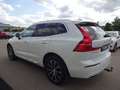 Volvo XC60 B5 Inscription AWD AHK ACC Standhzg. BLIS Weiß - thumbnail 5