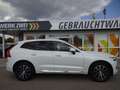 Volvo XC60 B5 Inscription AWD AHK ACC Standhzg. BLIS Weiß - thumbnail 8