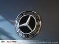 Mercedes-Benz V 250 V250 Marco Polo 4 Matic 250 d EDITION 4MATIC Voll Grau - thumbnail 6