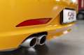 BMW Z4 sDrive 23i 204cv 6 cilindri manuale Amarillo - thumbnail 23