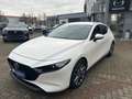 Mazda 3 SKYACTIV-G 2.0 M Hybrid 6GS AL-SELECTION A18 Weiß - thumbnail 1