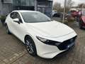 Mazda 3 SKYACTIV-G 2.0 M Hybrid 6GS AL-SELECTION A18 Weiß - thumbnail 2