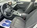 Audi A4 Avant 40 2.0 tdi Business quattro 190cv S-Tronic Blu/Azzurro - thumbnail 8