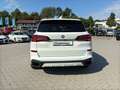 BMW X5 xDrive40d M Sportpaket Laser+HUD+Pano+SHZ Weiß - thumbnail 5