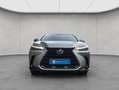 Lexus Sonstige NX350h 4x4 Luxury Line + Panorama Modell2026 Silber - thumbnail 5