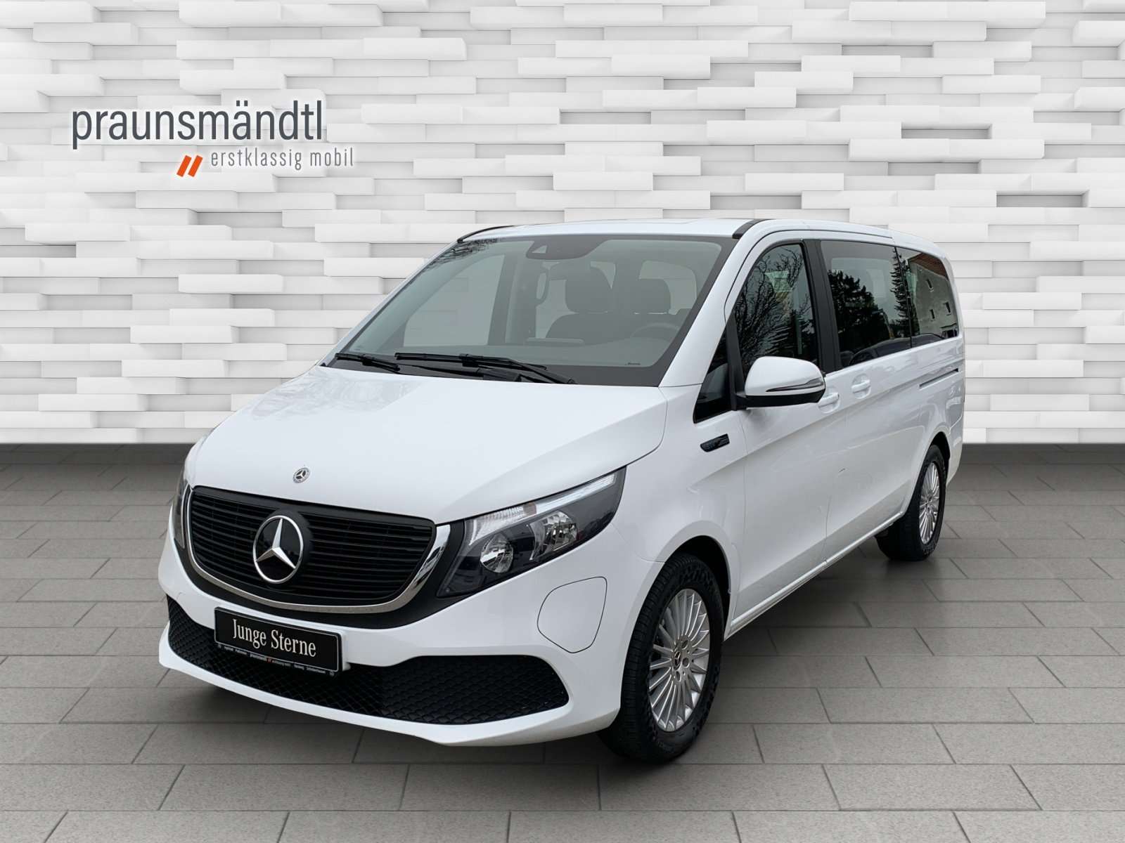 Brugt Mercedes Benz Eqv 300