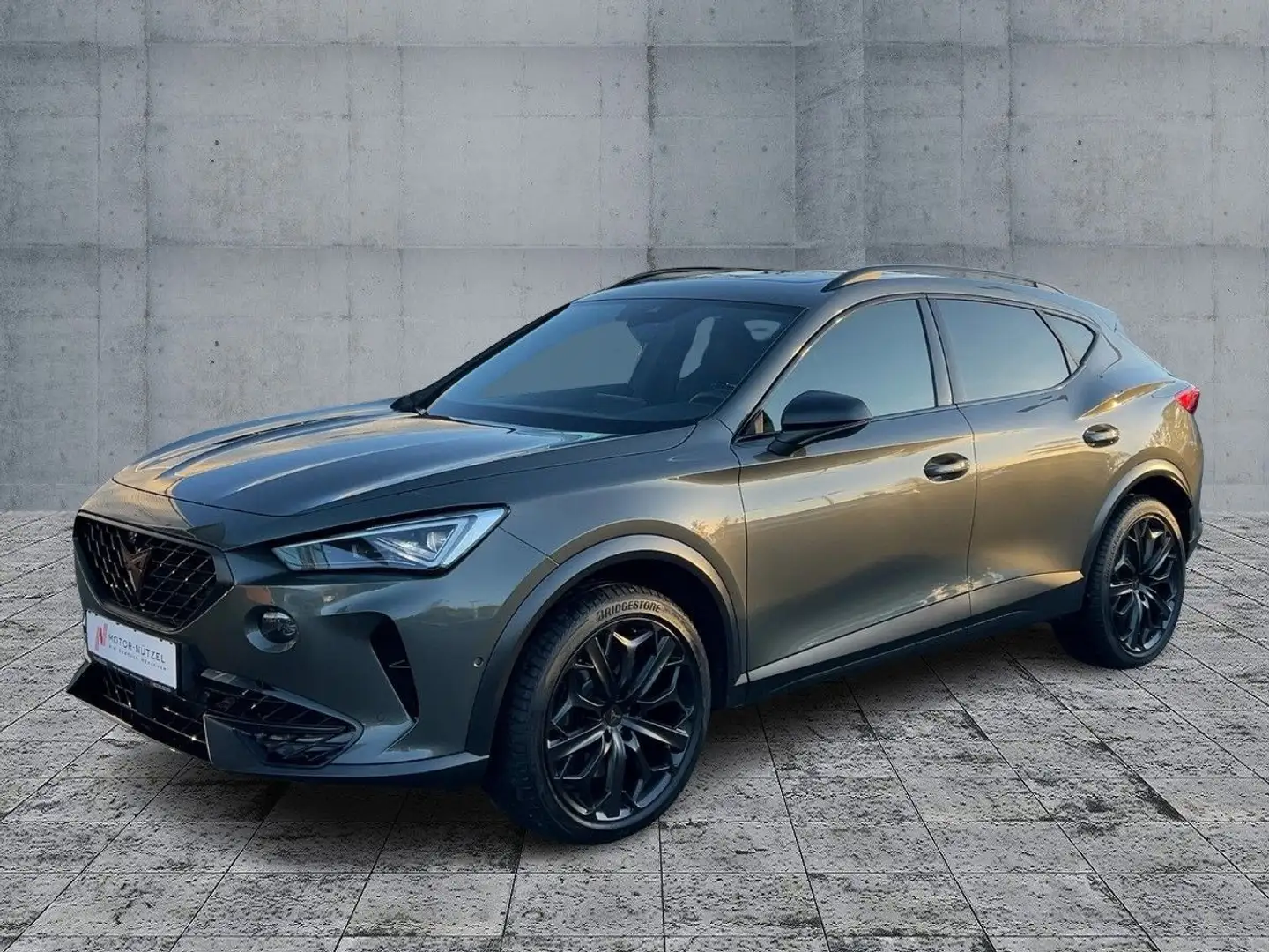 CUPRA Formentor 2.0 TSI DSG VZ MATRIX+NAVI+BEATS+360° Grijs - 2