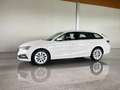 Skoda Octavia Style TDI Weiß - thumbnail 1