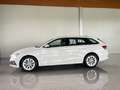 Skoda Octavia Style TDI Weiß - thumbnail 6