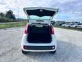 Fiat New Panda 1.2  Easy Blanco - thumbnail 20