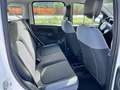 Fiat New Panda 1.2  Easy Blanco - thumbnail 13