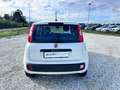 Fiat New Panda 1.2  Easy Blanco - thumbnail 7