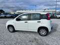 Fiat New Panda 1.2  Easy Blanco - thumbnail 8