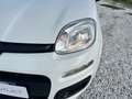 Fiat New Panda 1.2  Easy Blanco - thumbnail 5
