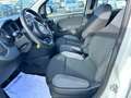 Fiat New Panda 1.2  Easy Blanco - thumbnail 10
