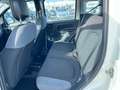 Fiat New Panda 1.2  Easy Blanco - thumbnail 11