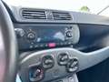 Fiat New Panda 1.2  Easy Blanco - thumbnail 18