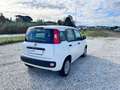 Fiat New Panda 1.2  Easy Blanco - thumbnail 4
