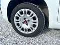 Fiat New Panda 1.2  Easy Blanco - thumbnail 21