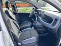 Fiat New Panda 1.2  Easy Blanco - thumbnail 12