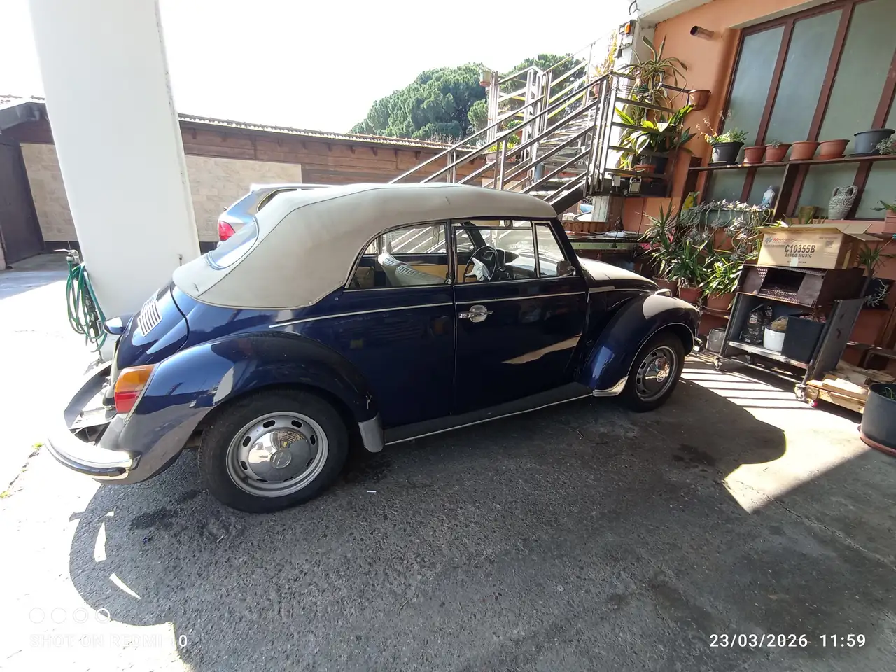 Volkswagen MAGGIOLONE CABRIO 15AB11, foto 6