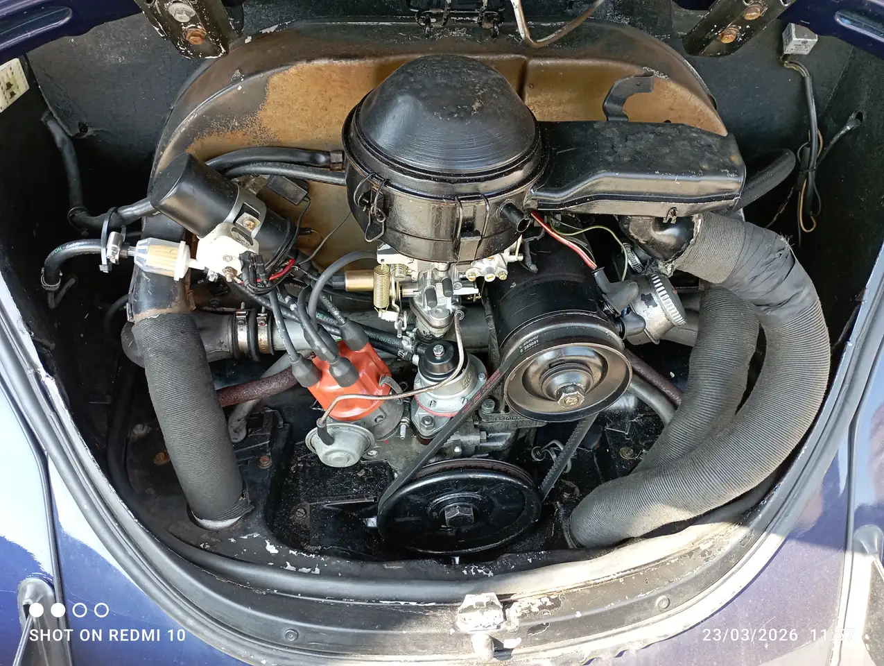 Volkswagen MAGGIOLONE CABRIO 15AB11, foto 5