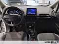 Ford EcoSport 1.5 EcoBlue Titanium Bianco - thumbnail 8