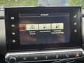 Citroen C4 Cactus 1.6 BlueHDi Business Plus **NAVI-CAMERA-CRUISECTRL Grijs - thumbnail 20