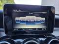 Mercedes-Benz C 200 Estate CDI Prestige Grau - thumbnail 12