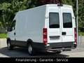Iveco Daily Kasten 35/AHK/KLIMA/LEDER/1 HAND/TÜV NEU Alb - thumbnail 5
