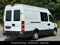Iveco Daily Kasten 35/AHK/KLIMA/LEDER/1 HAND/TÜV NEU Alb - thumbnail 4