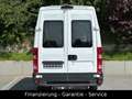 Iveco Daily Kasten 35/AHK/KLIMA/LEDER/1 HAND/TÜV NEU Alb - thumbnail 6