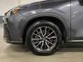 Lexus NX 350h 2.5 HEV EXECUTIVE 4WD AUTO 5P Gris - thumbnail 8