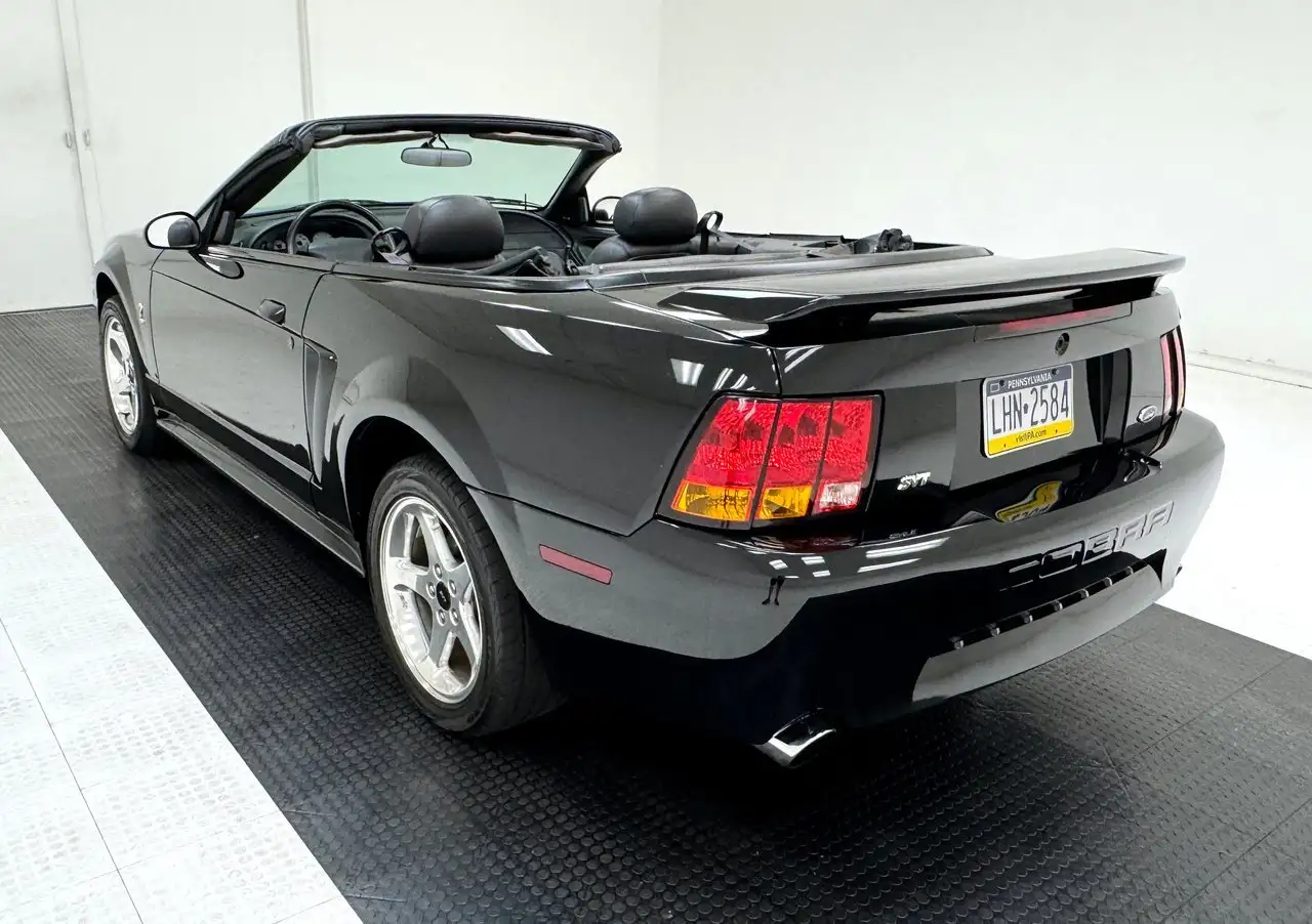 Ford Mustang Cobra Convertible, foto 6