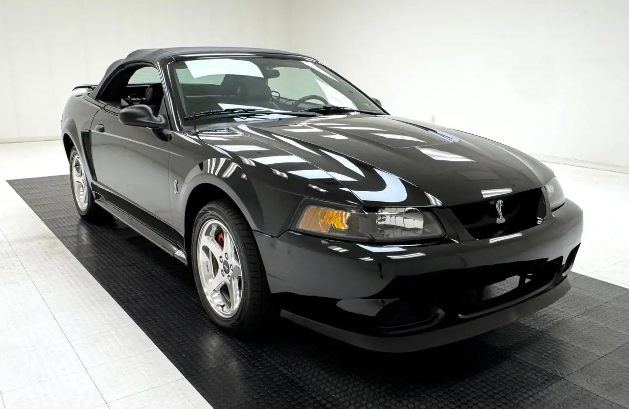 Ford Mustang Cobra Convertible, foto 10