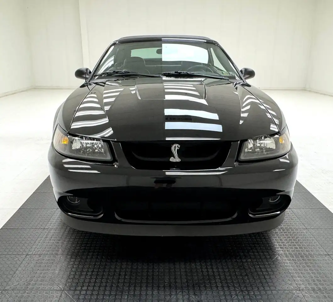 Ford Mustang Cobra Convertible, foto 11