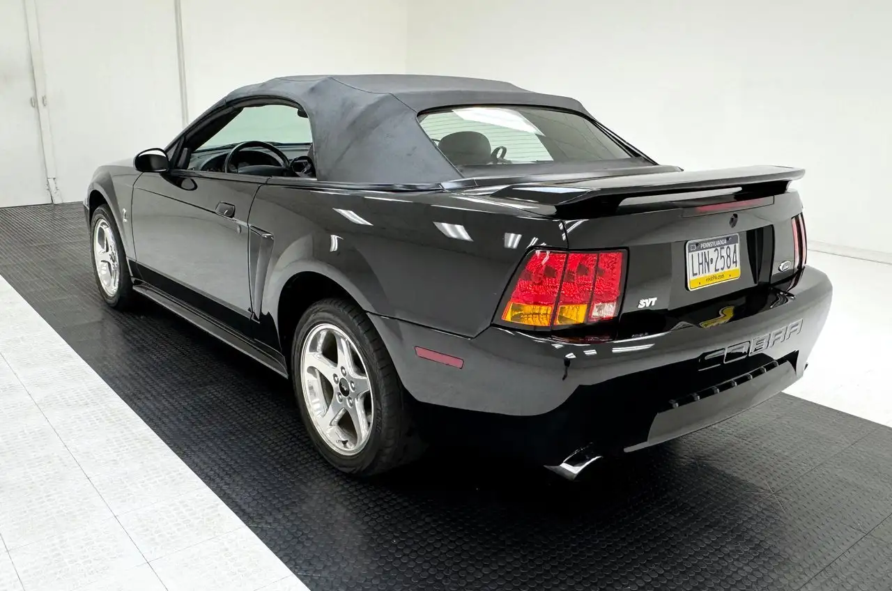 Ford Mustang Cobra Convertible, foto 5