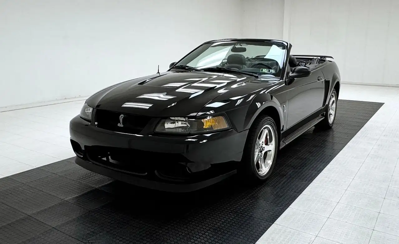 Ford Mustang Cobra Convertible, foto 2